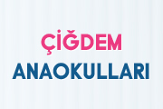 idem Anaokullar