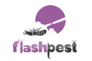 Flash Pest