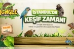 stanbul'da keif zaman