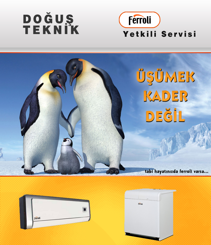 Dou Teknik Ferroli Yetkili Servisi