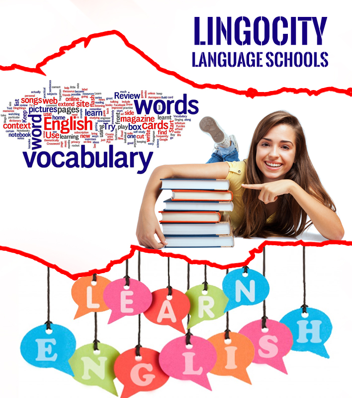 Lingocity Language Schools