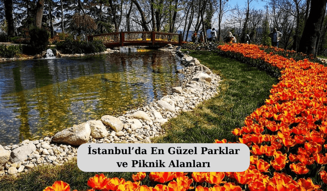 İstanbul’da En Güzel Parklar ve Piknik Alanları