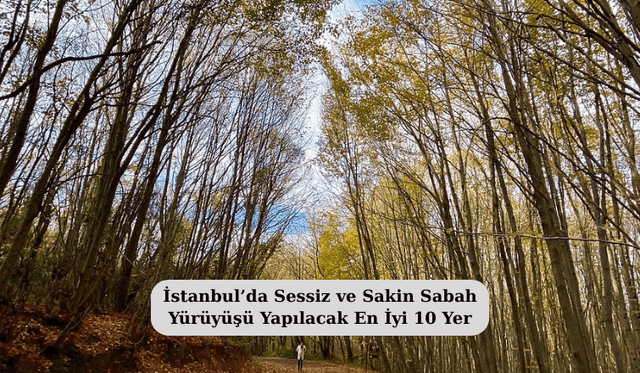 İstanbul’da Sessiz ve Sakin Sabah Yürüyüşü Yapılacak En İyi 10 Yer